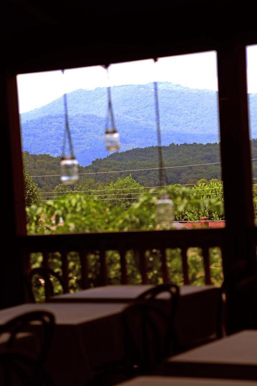 Grandview Lodge Waynesville Εξωτερικό φωτογραφία